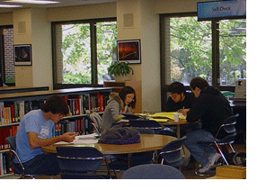 Engineering LIbrary Students