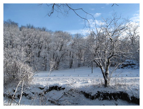 Happy Hollow Park winter scene by Patrick Whalen