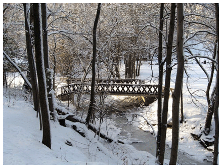 Winter in Happy Hollow Park