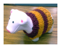 USAIN cow Tippy in sweater
