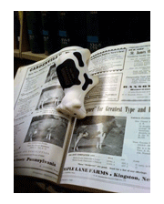 USAIN Cow Tippy in Hicks Repository